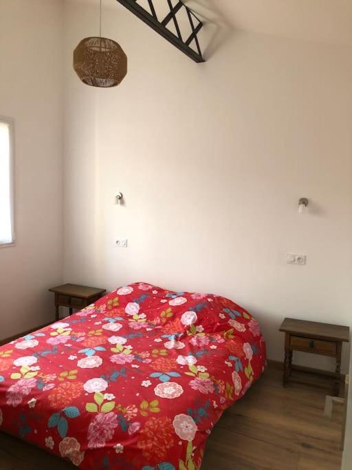 Chez Voltaire Maison Typique Et Son Patio Au Coeur De טוייר מראה חיצוני תמונה